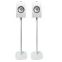 Vebos floor stand with Bookshelf Speaker set 17x22